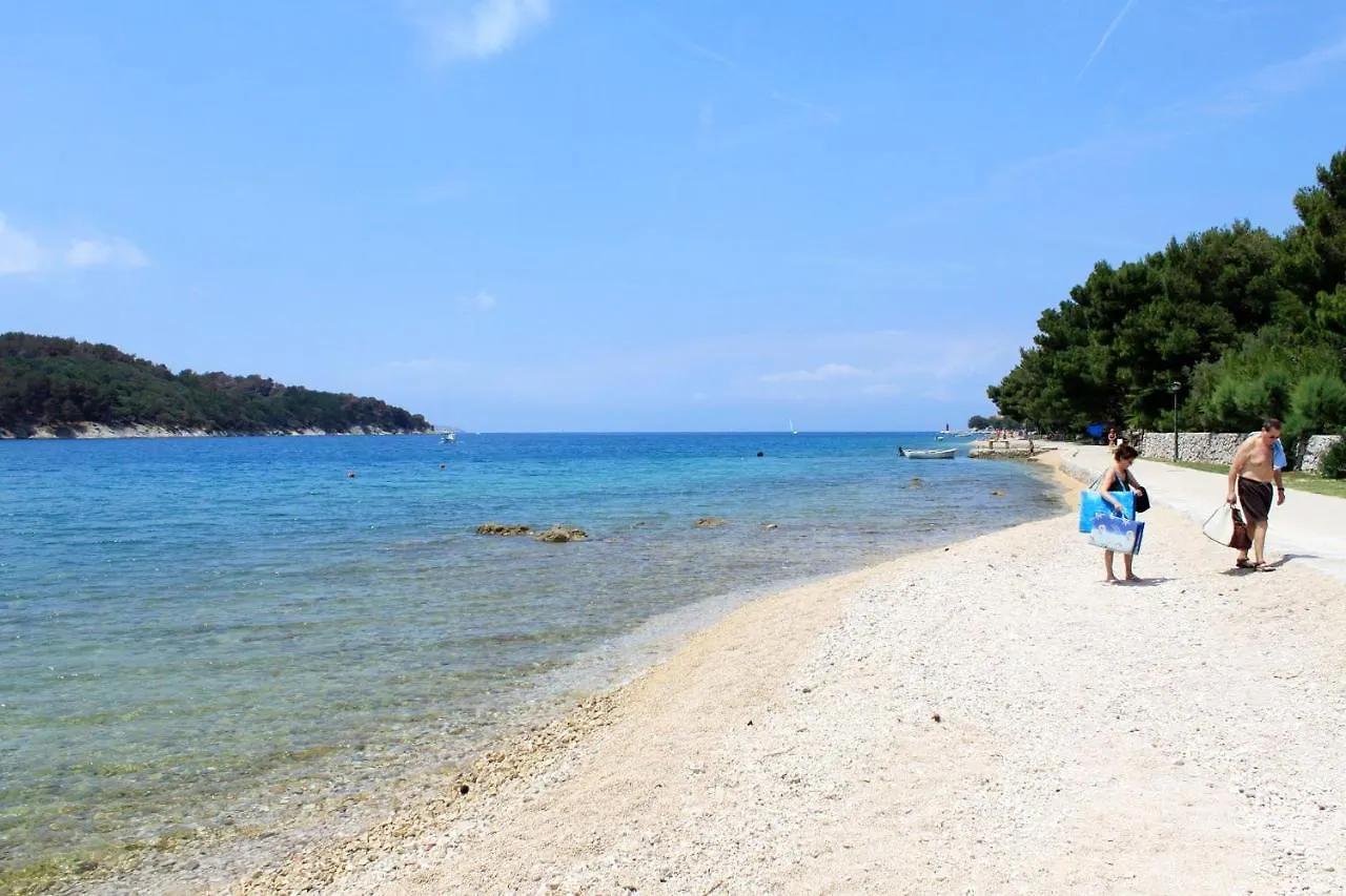 Apartments With Wifi Cres - 20832 Croatia